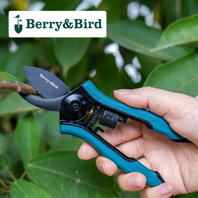 Berry&Bird 园艺修枝剪 家庭养花整理 园林剪刀修枝剪 园艺工具 防锈防腐蚀 