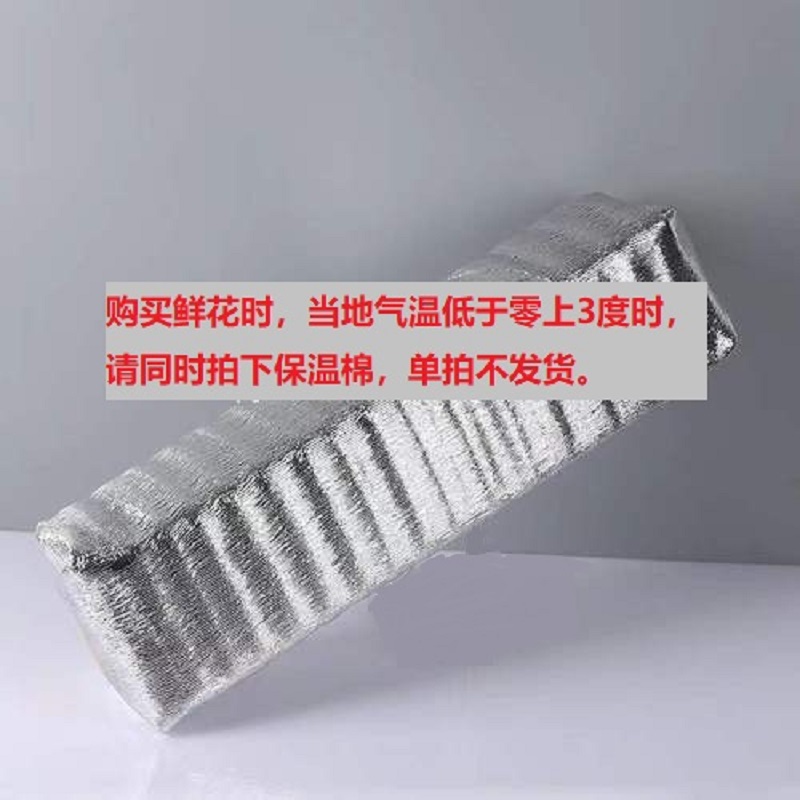 沃尔玛 （北方建议购买，花易冻坏）鲜花包装保温棉 1片 单拍不发货
